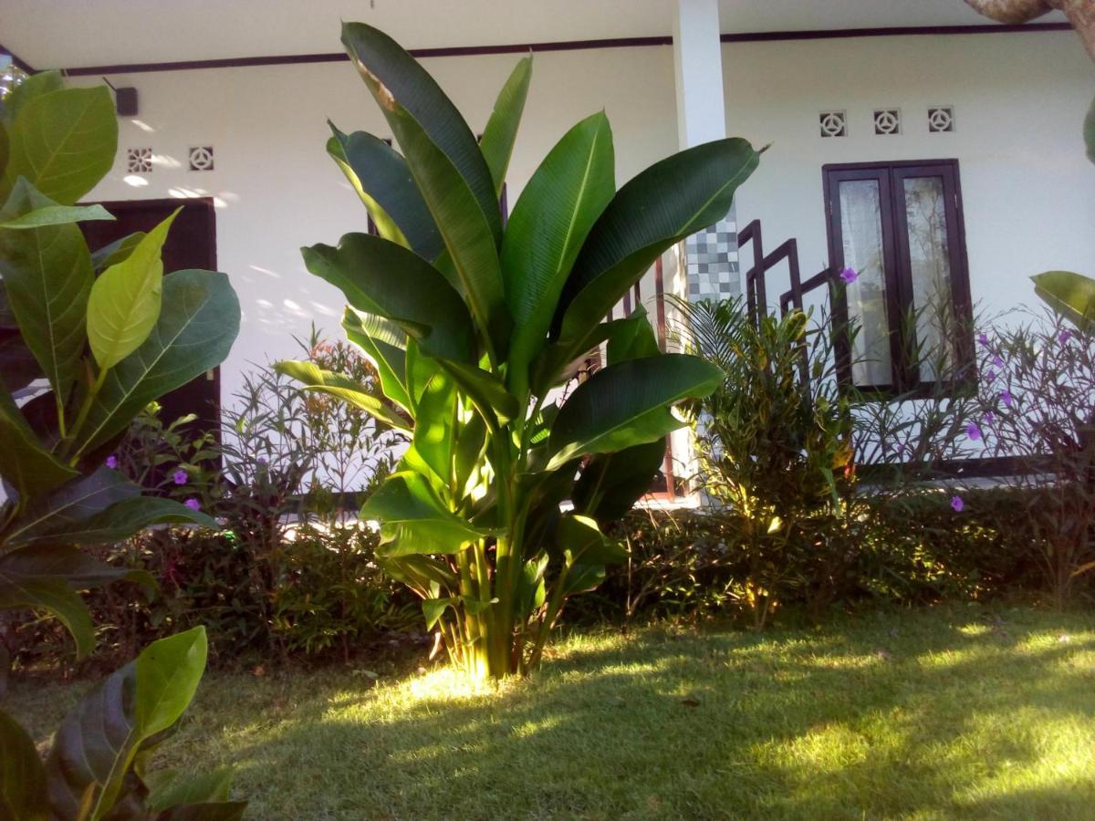 Ariata Arya Hostel Kuta  エクステリア 写真